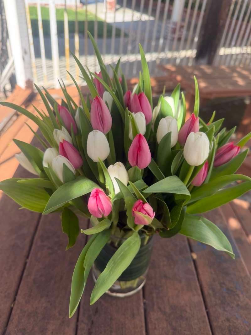 Tulips Bouquet (50 Stems of Tulips)
