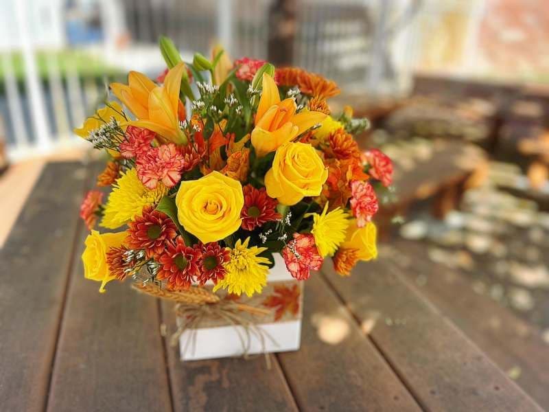Autumn Present
