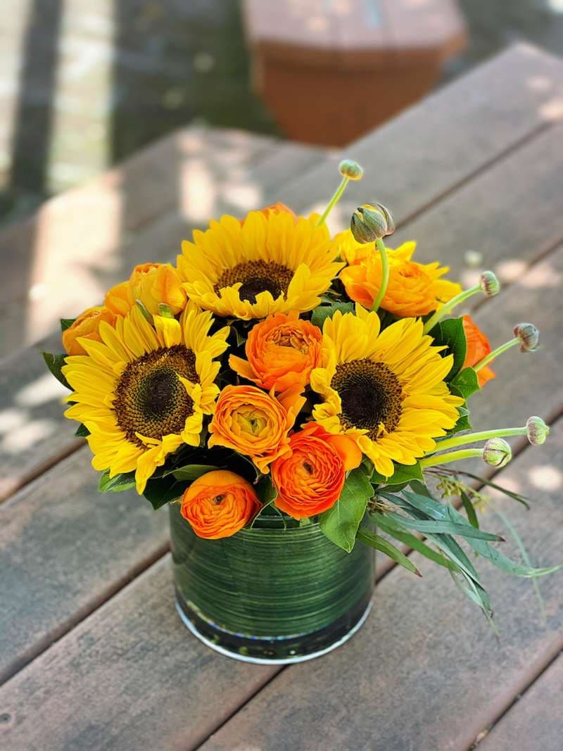 You Are My Sunshine
