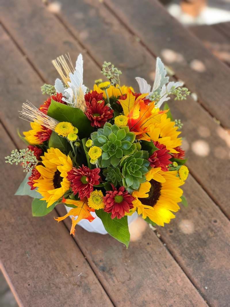Fall Garden by Bee