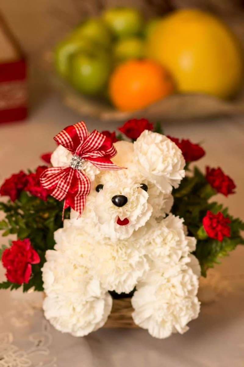 Carnation Puppy