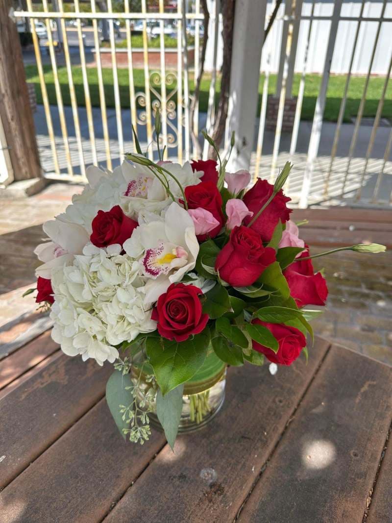 Ladies Day (Red and White)