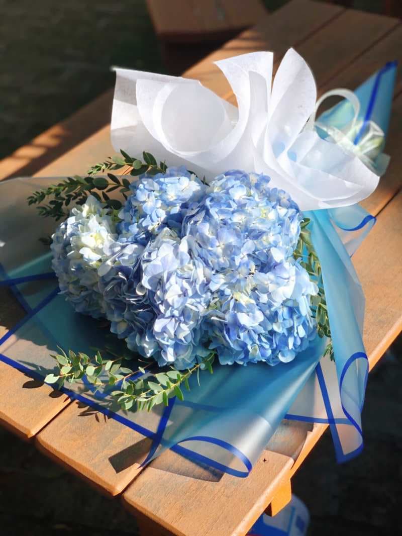 Blue Hydrangeas Wrap