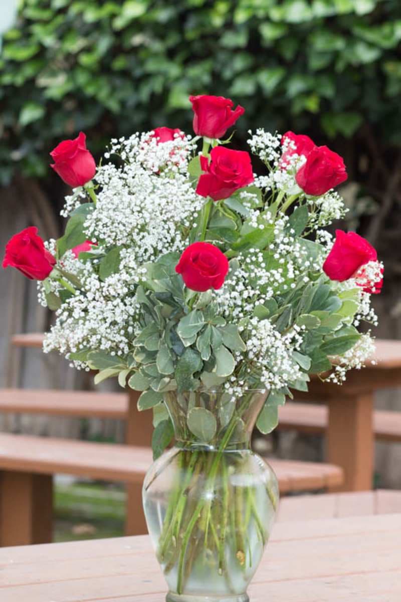 Dozen Long Stem Red Roses