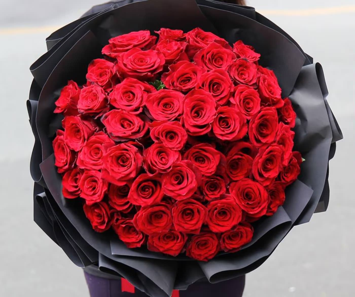 Roses are Red, Valentine's is Near! 🌹